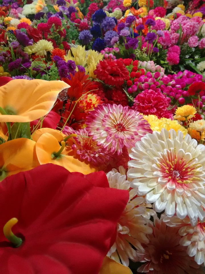 colourful flowers