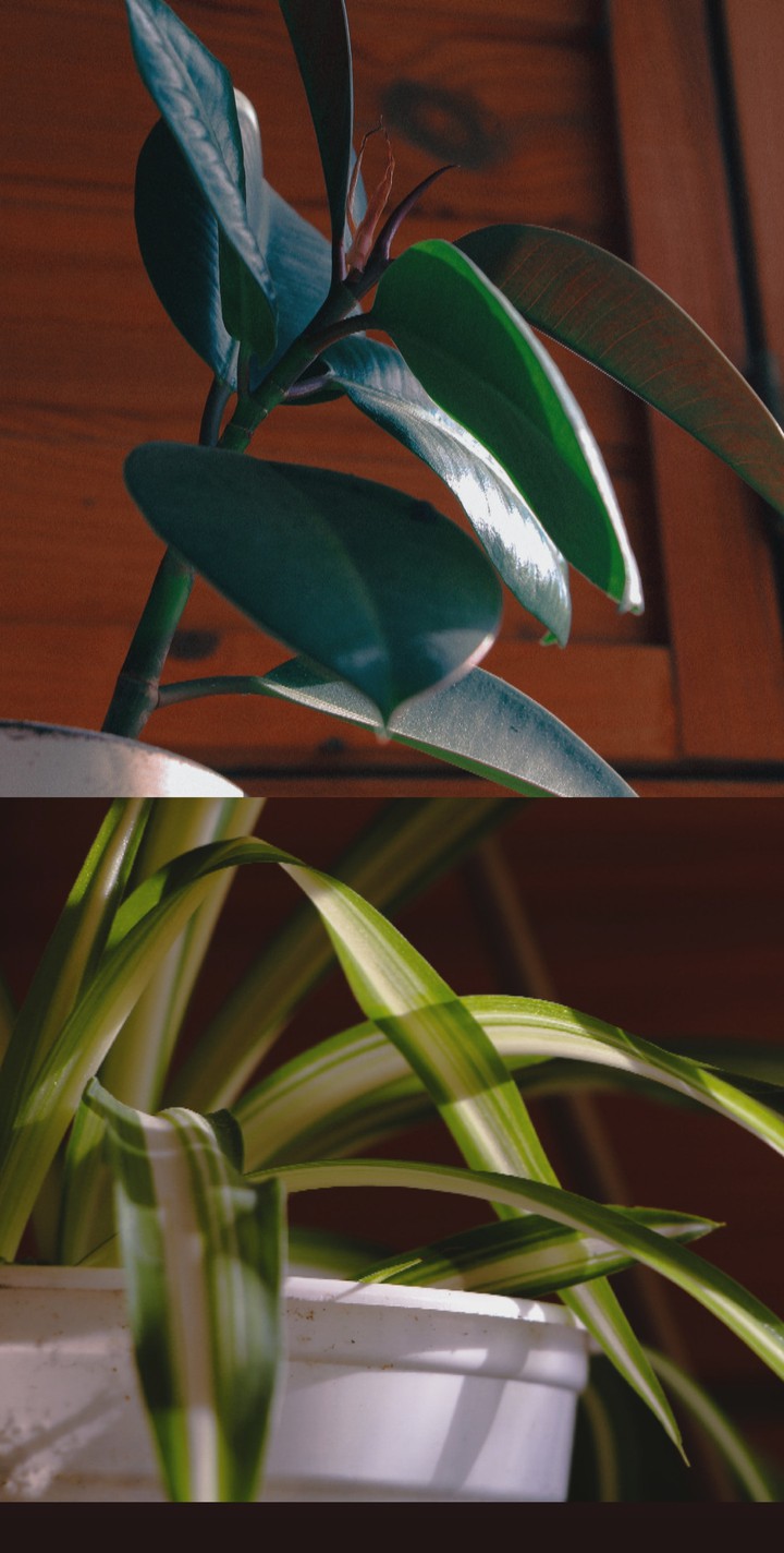 ??