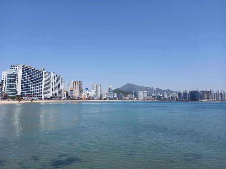 푸른 바다
