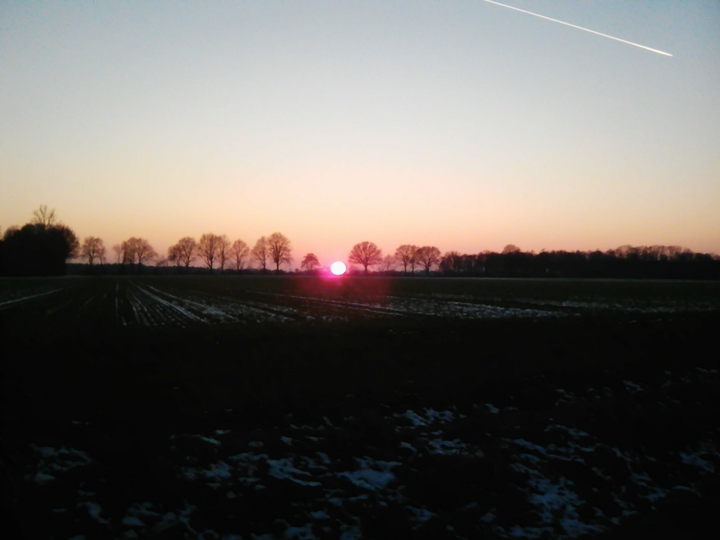 sunset