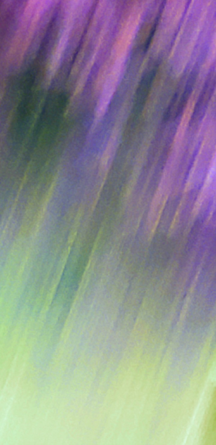 glass