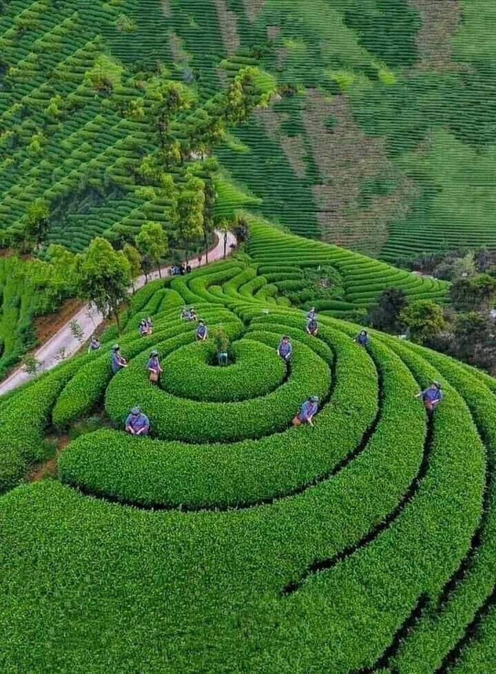 Kerala