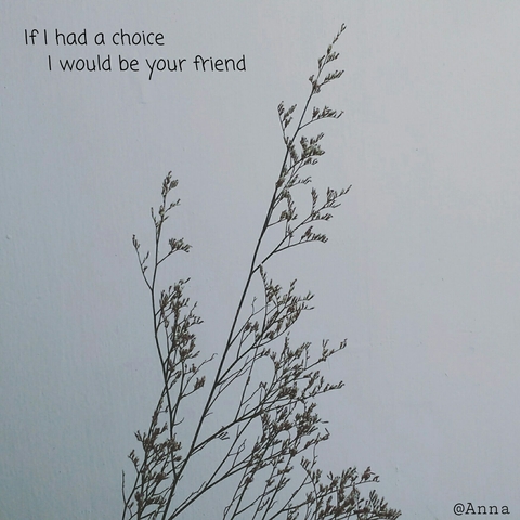 If I had a choice