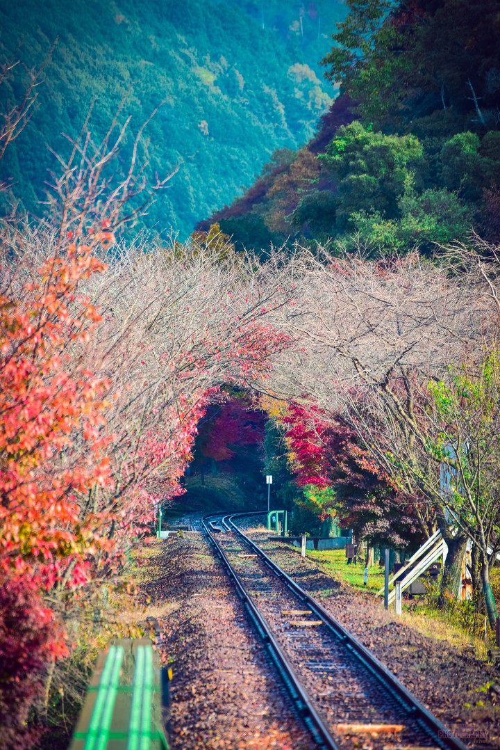 철길