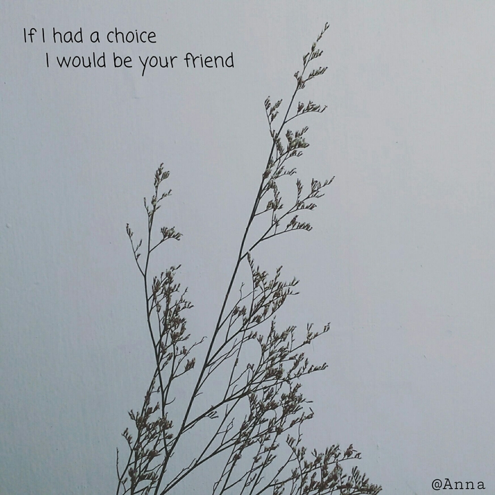 If I had a choice