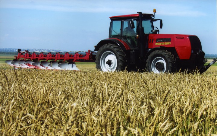 mtz