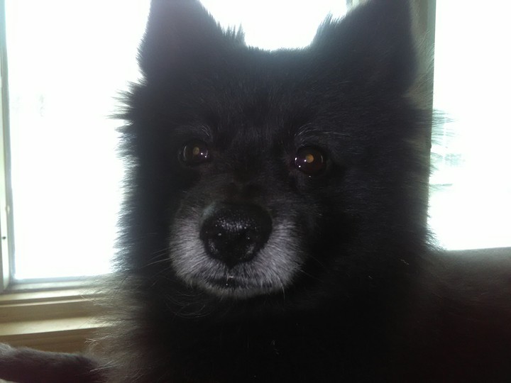 Precious surprise face