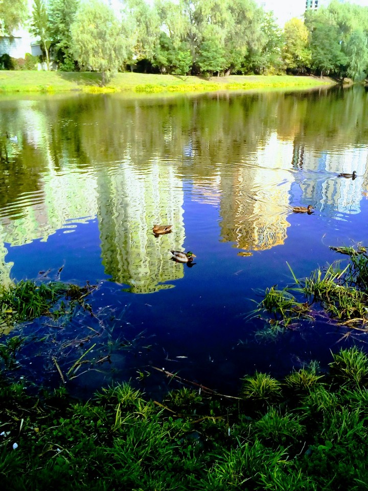 Водоём и качки