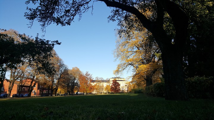 På jobbet