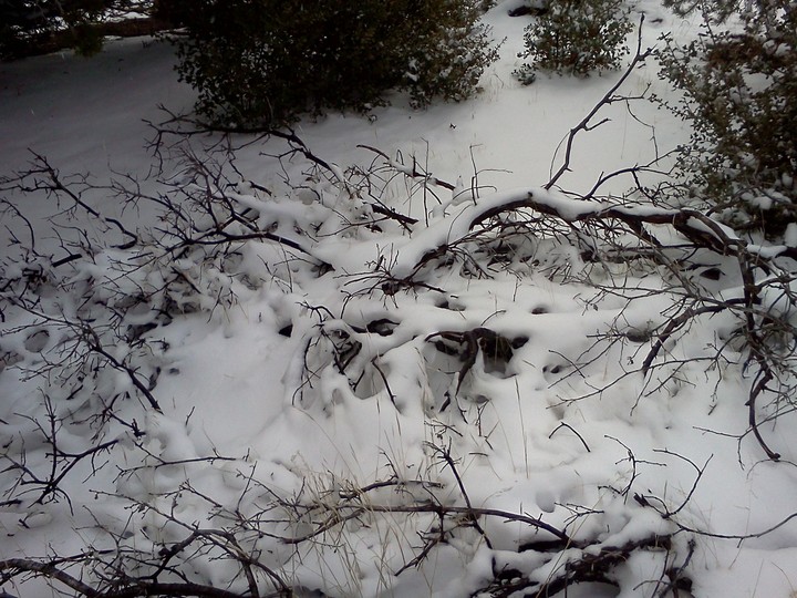 Snow