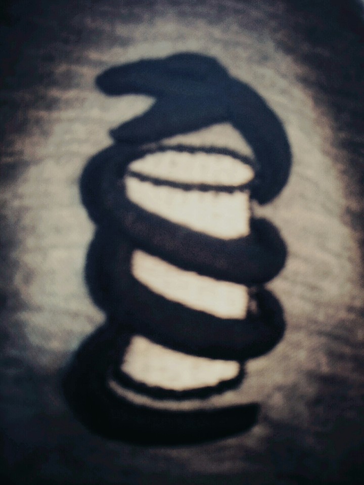rapping snake