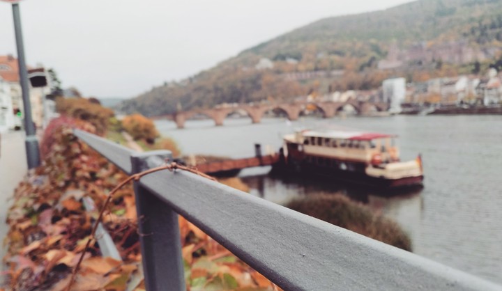 Walking around Heidelberg