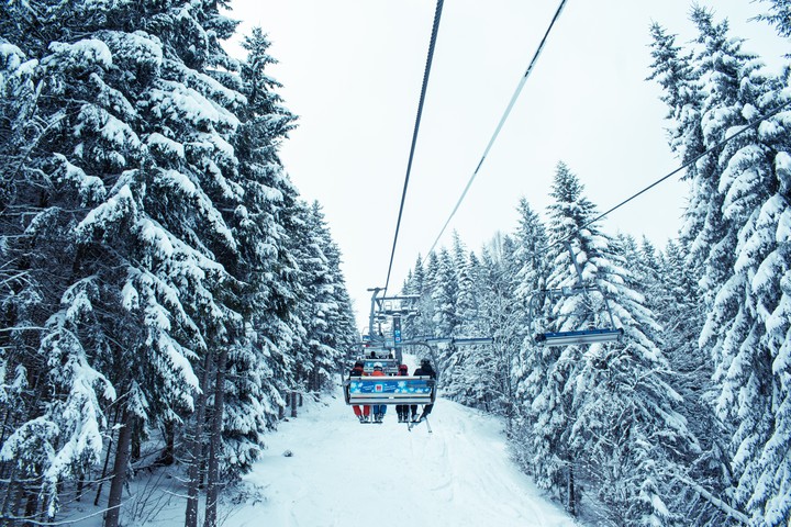 Winter Beauty