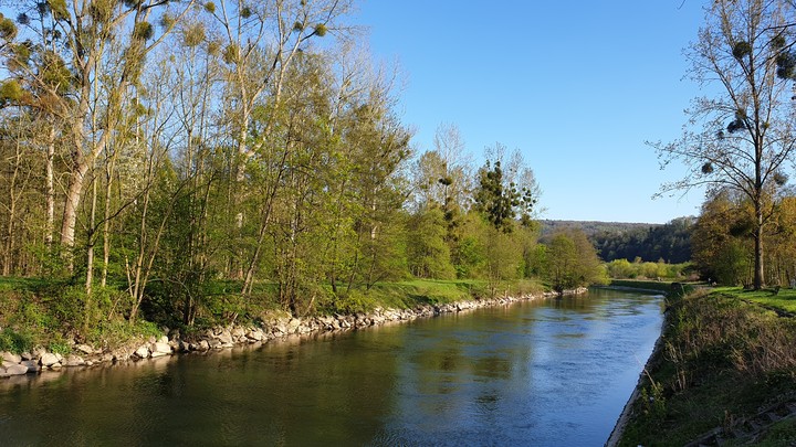spring