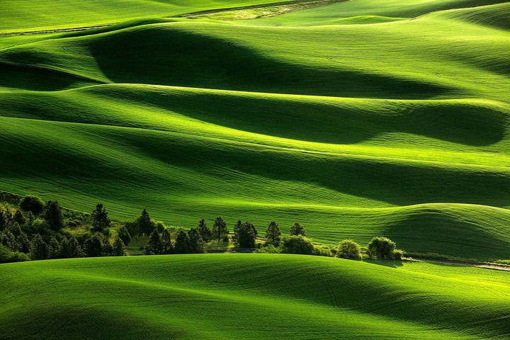 nature