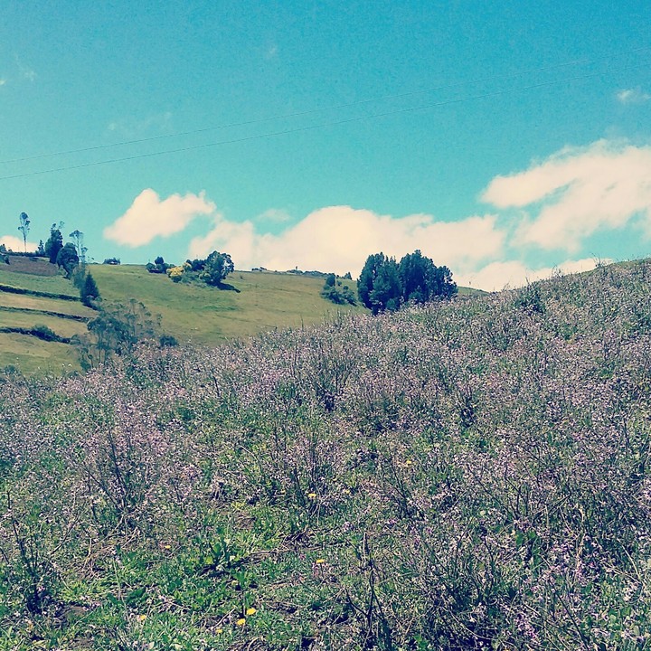peace