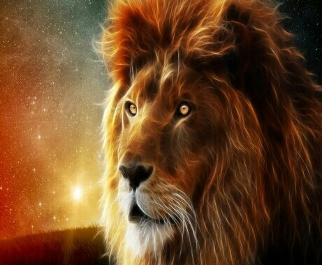 Beautiful animal
