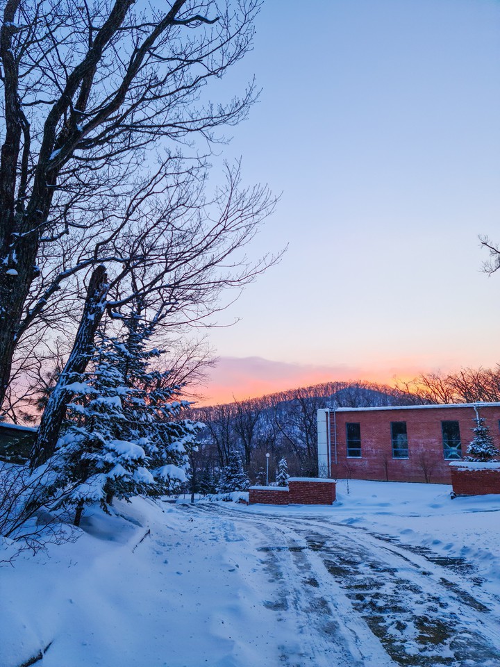 Winter dawn