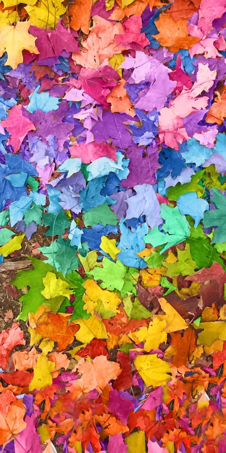 Diversion Of Leaves
