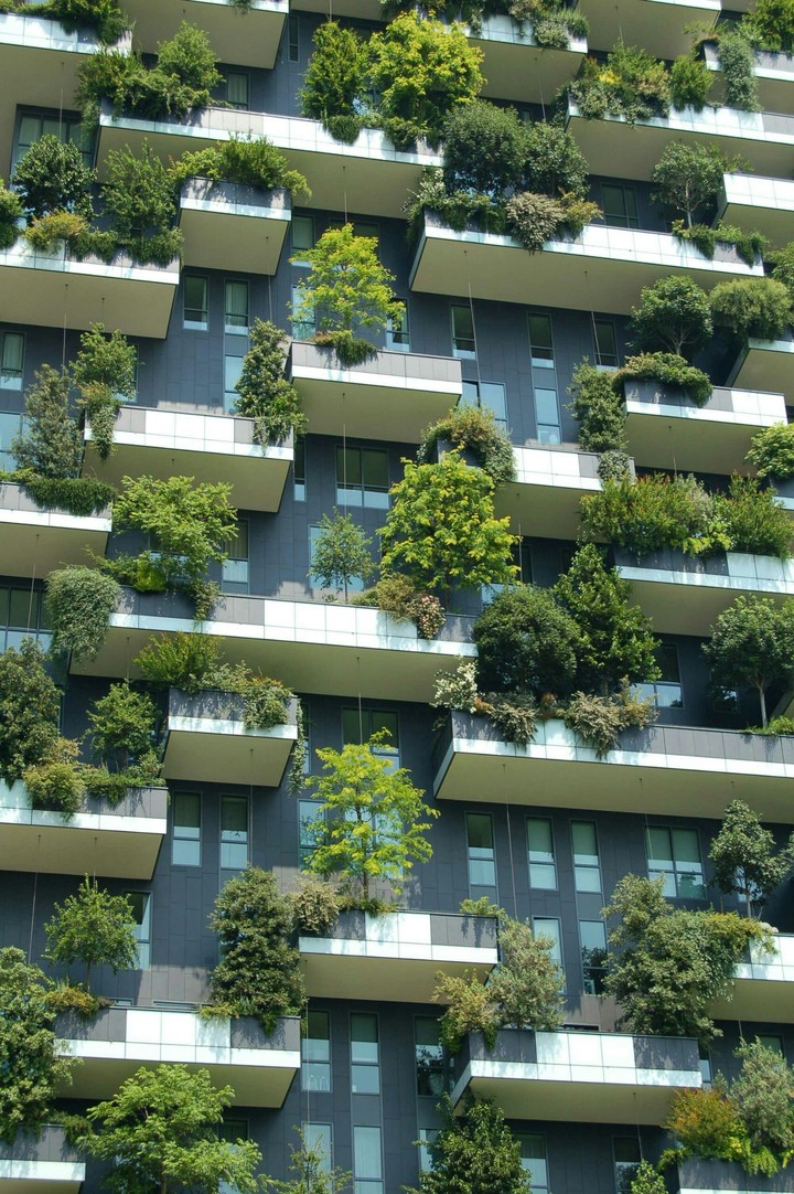 green trees