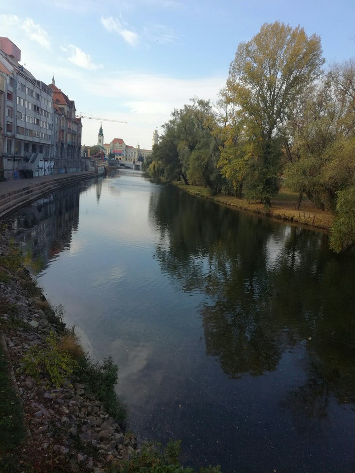 Oradea