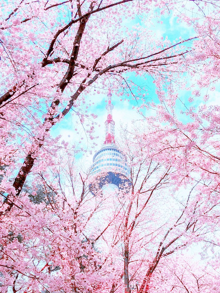♥