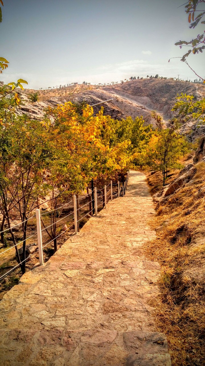 aa