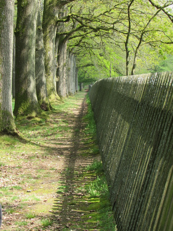 Fence