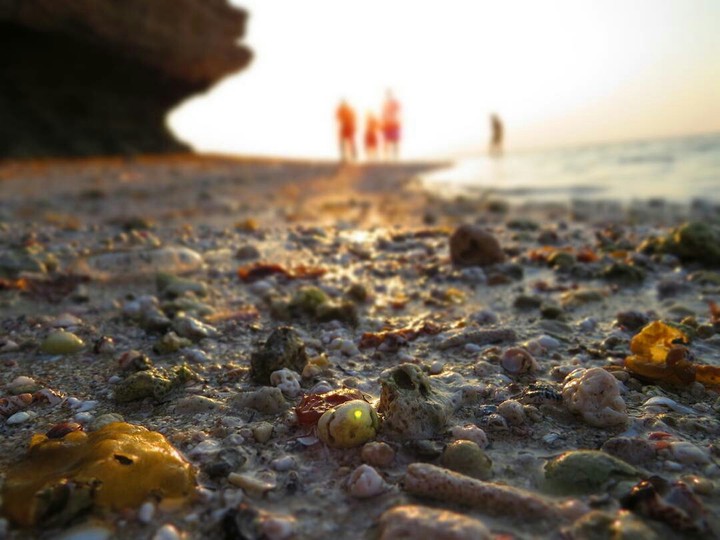 beautiful beach