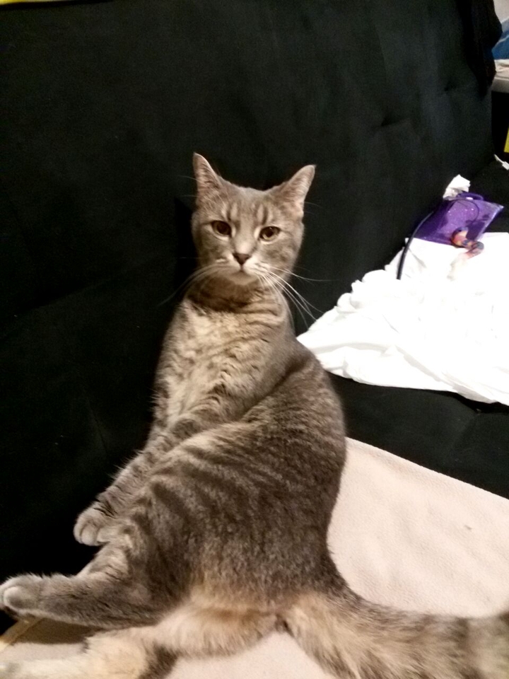 sitting on the couch
