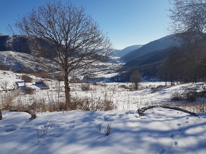 winter