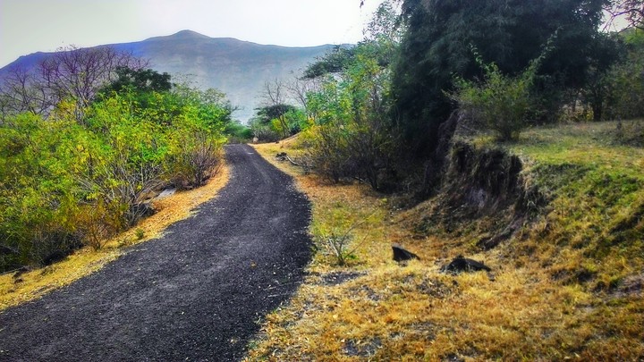 unknown road's