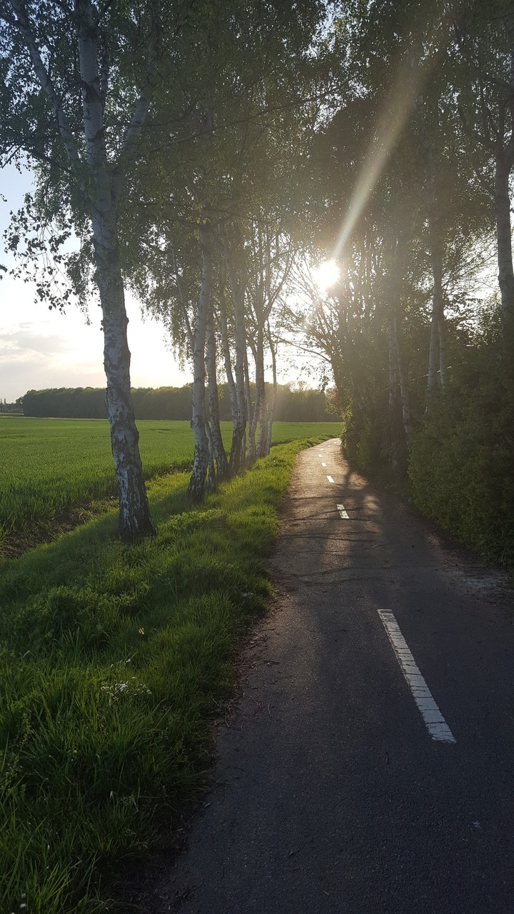 Road of life