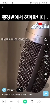 모기