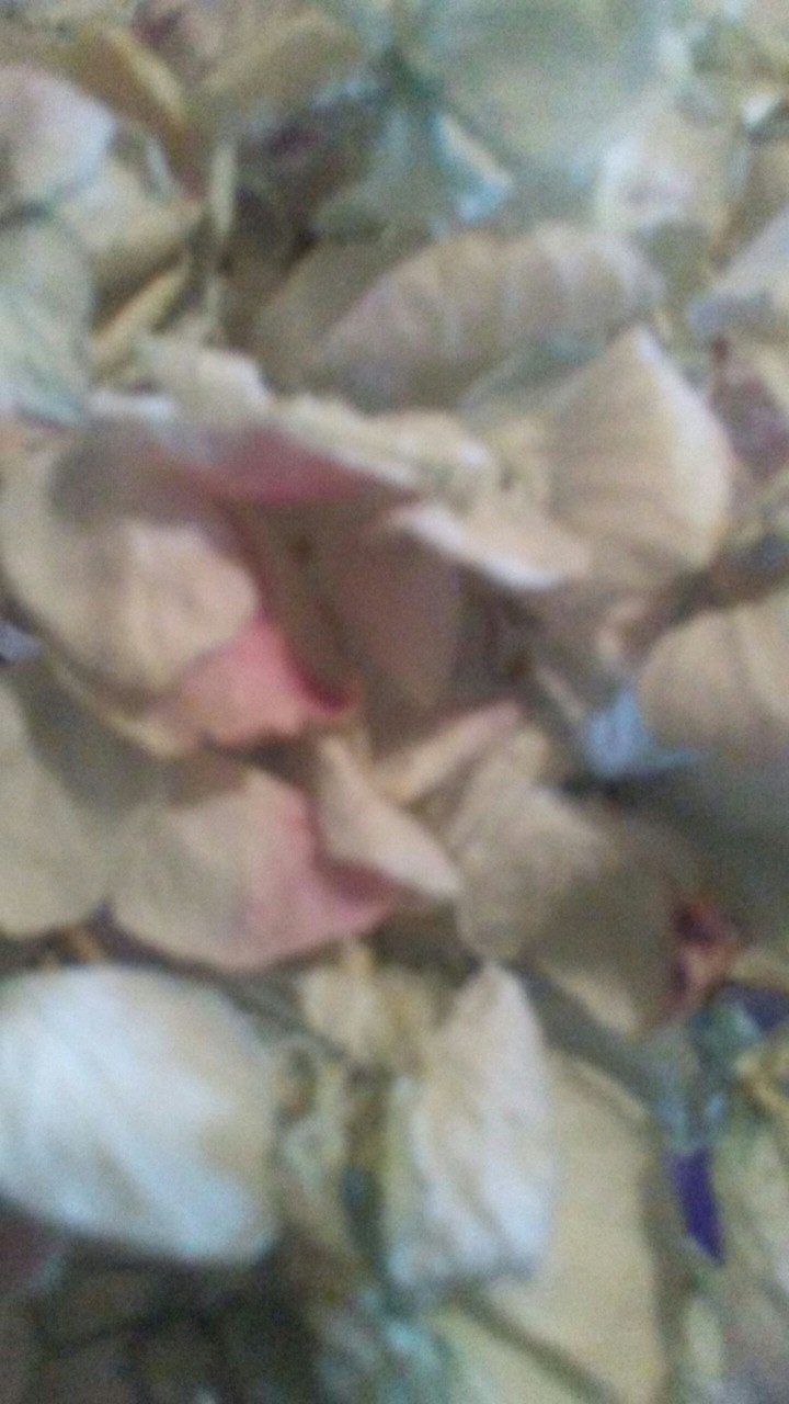 pale colors are also beautiful