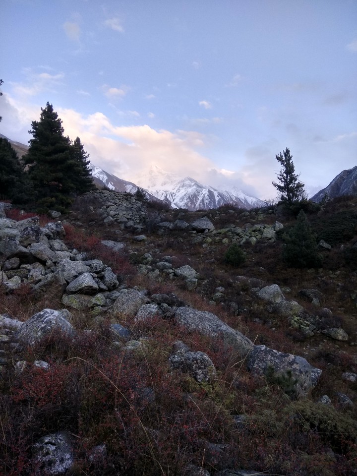 mountains