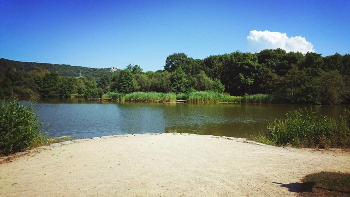Park Sea