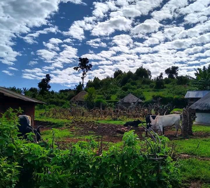 kapchorwa Uganda