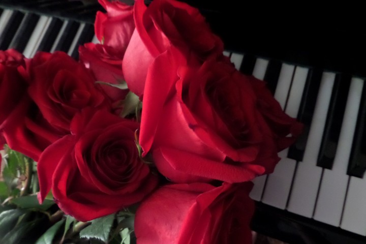 Piano & roses