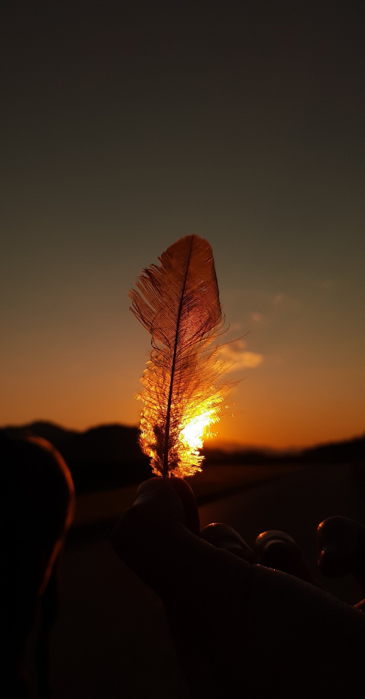 Feather on fire