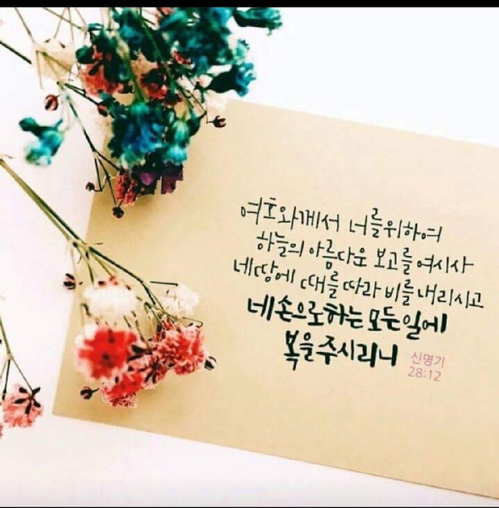 네감사합니다