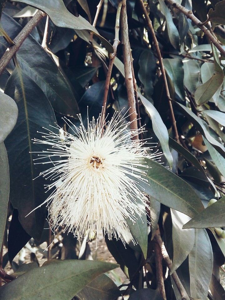 beauty of nature..