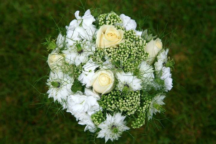 white flowers