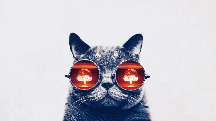 кошарик