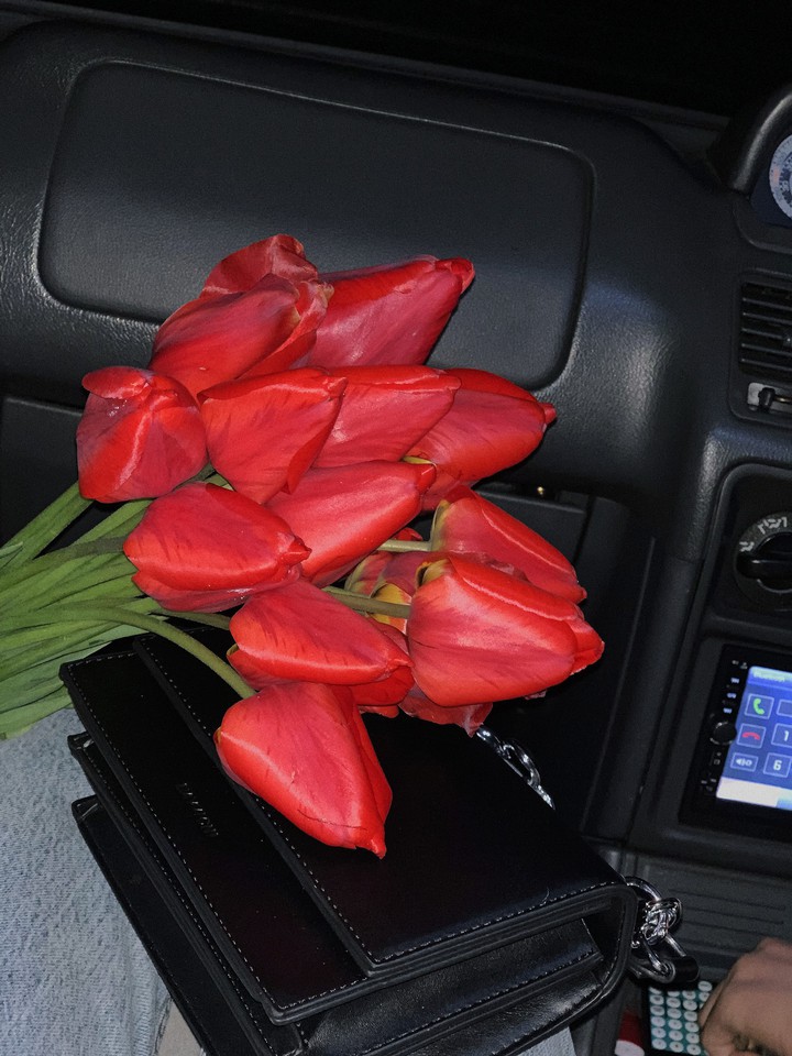 Tulips