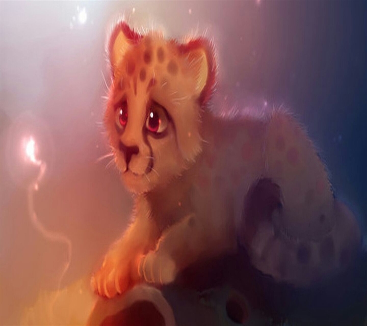 cute cheetah looking at fireflies