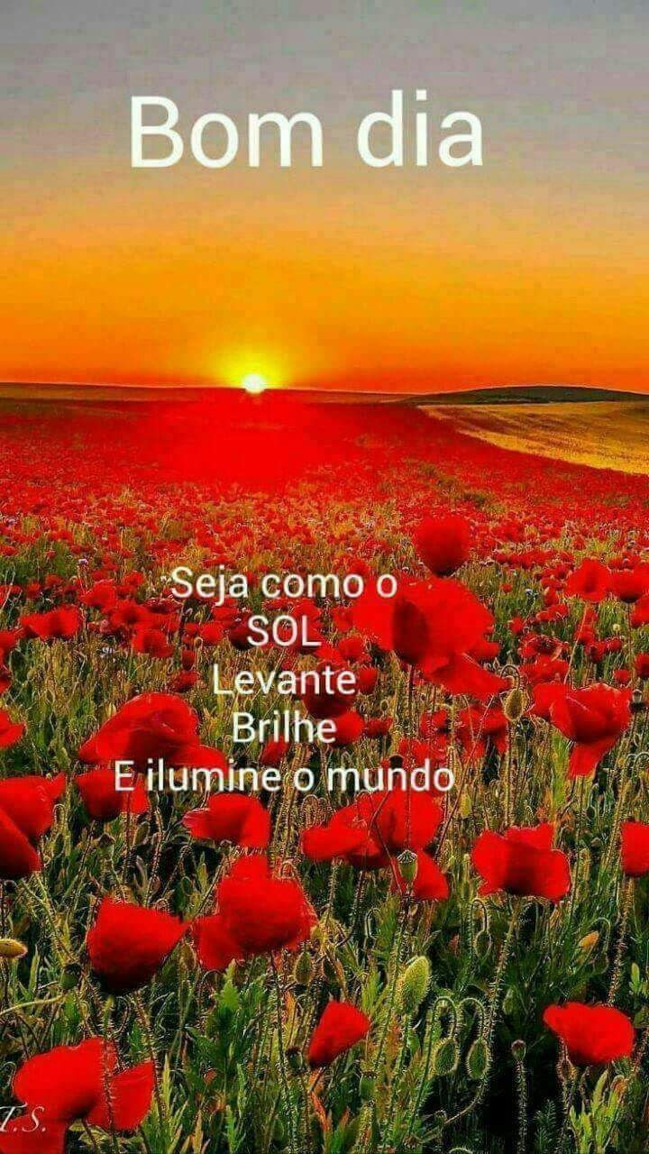 bom dia 