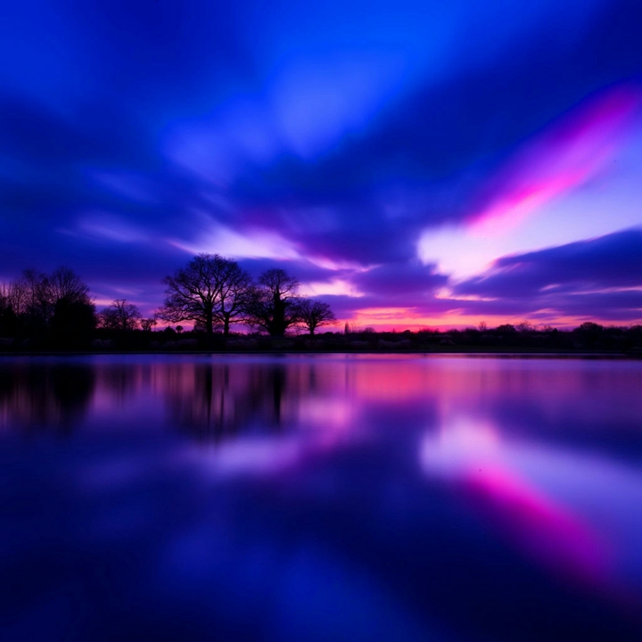 Pink and purple night