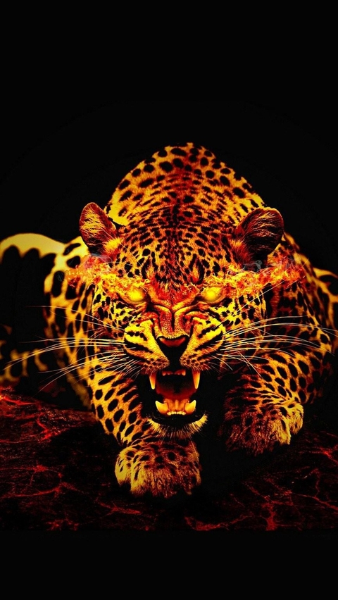 тапети felidae, snout