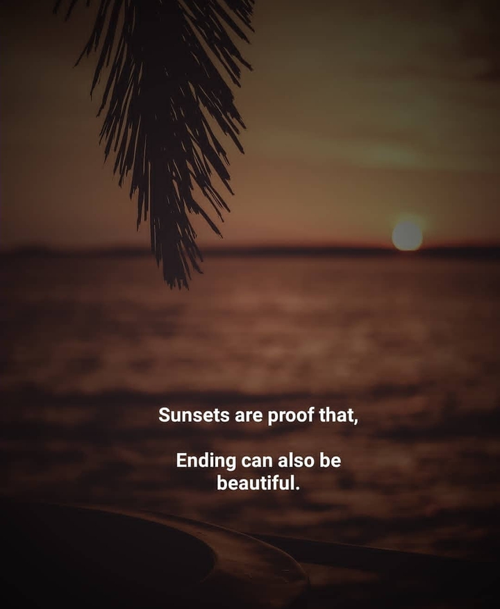 Quotes
